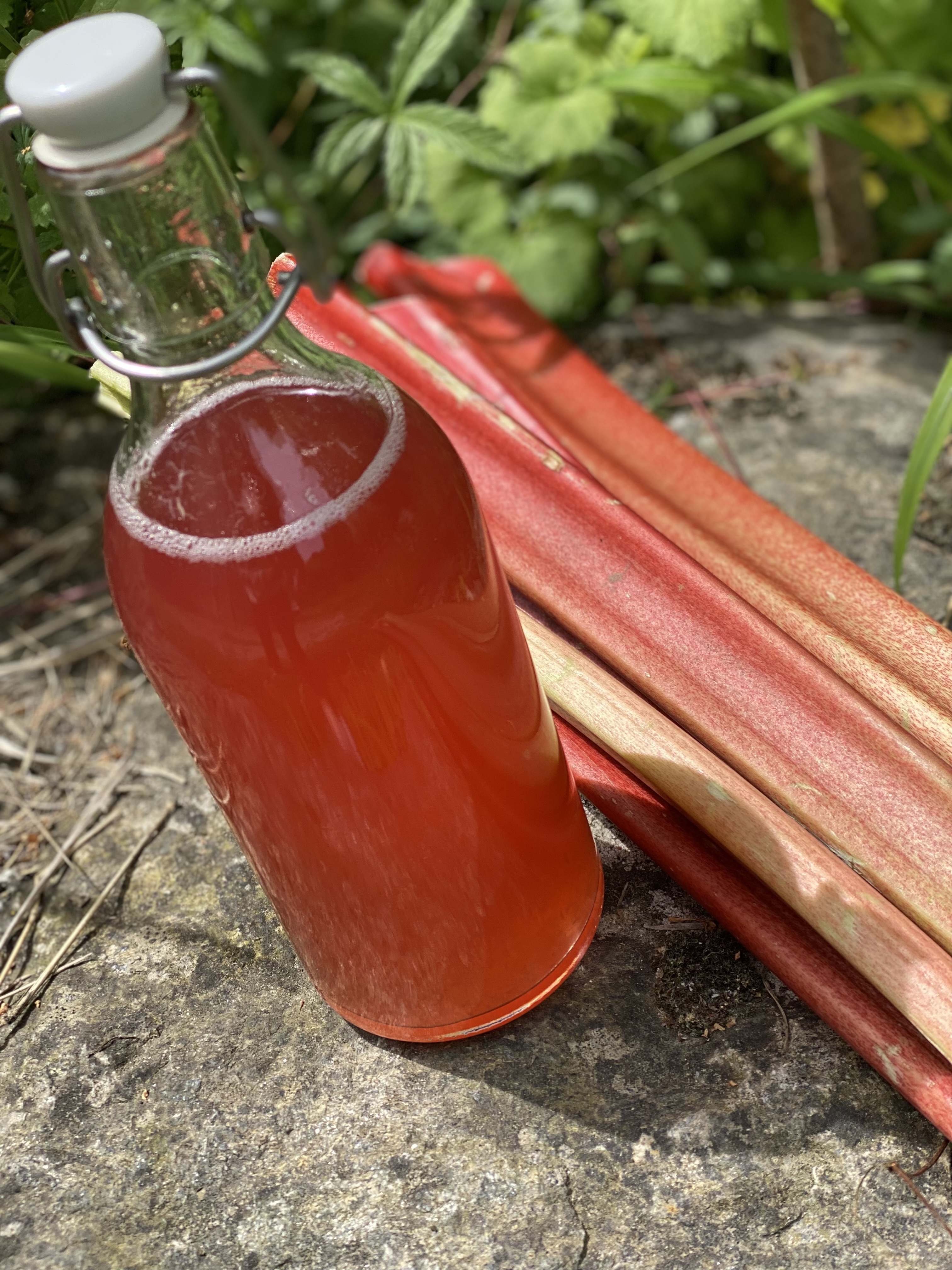 Sirop et compote de Rhubarbe au Thermomix