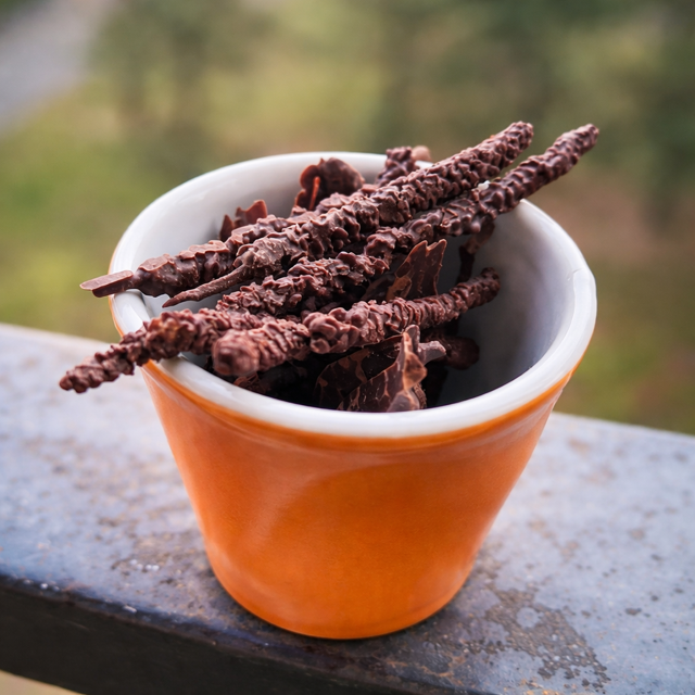 Chatons de Noisetier au chocolat 