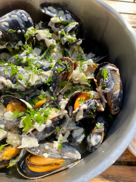 Moules au Roquefort 