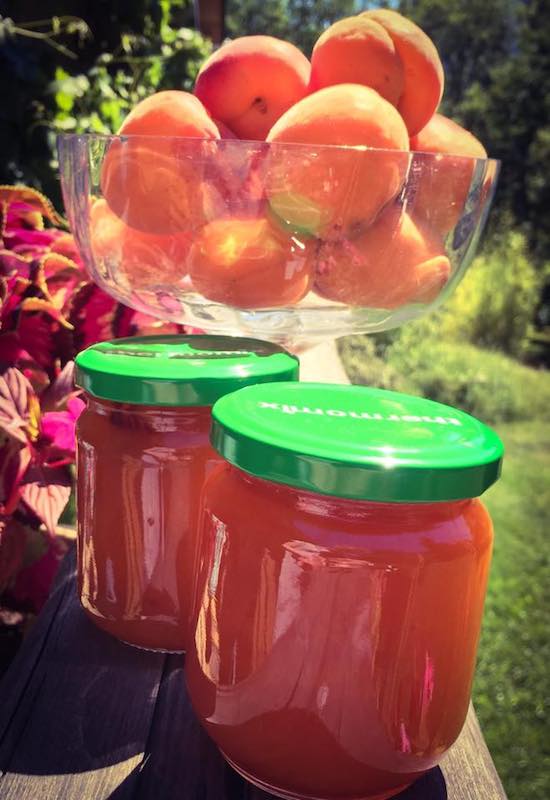 Confiture d’abricots au Thermomix 