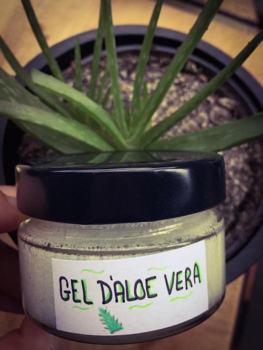 Gel d’Aloé vera 