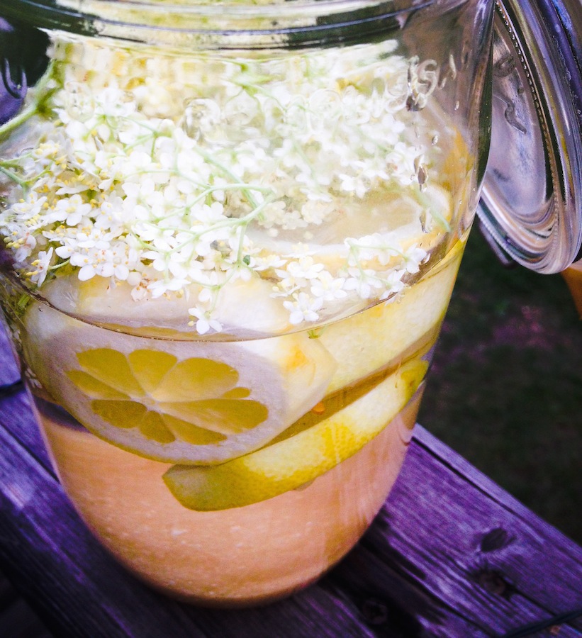 Limonade de Fleurs de Sureau