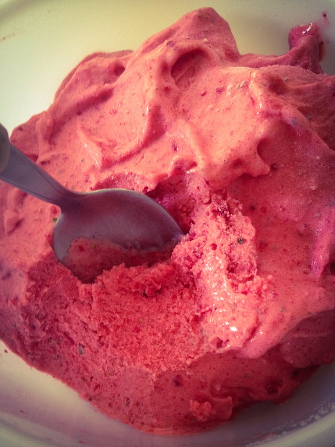 SORBET FRAISES / FRAMBOISES & BASILIC  ...     Au Thermomix